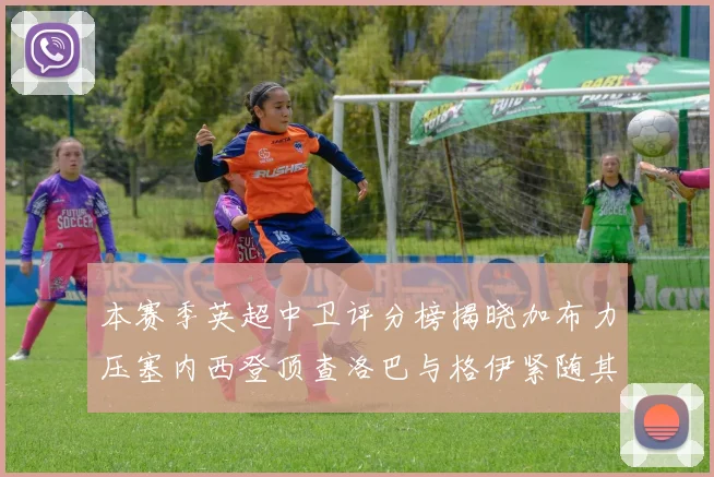 本赛季英超中卫评分榜揭晓加布力压塞内西登顶查洛巴与格伊紧随其后