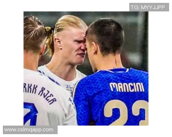 哈兰德怒斥曼奇尼不当行为多纳鲁马出面调解冲突